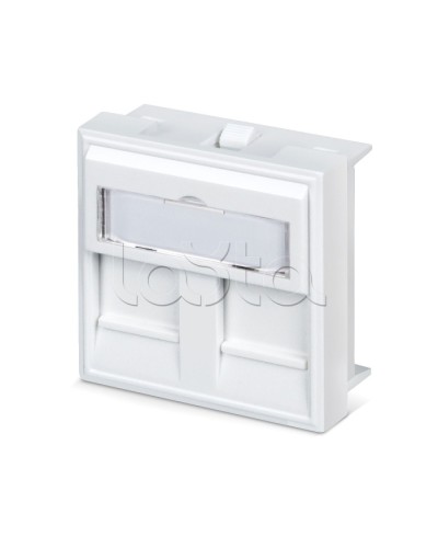 Вставка 45x45 (аналог Mosaic) для 2 модулей формата Keystone Jack Cabeus FP-45-2M в Евпатории Модули Keystone Pintop.ru